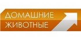 Домашние животные